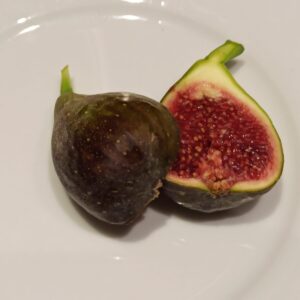 Ficus carica “Brunswick” (Braunschweig,...)