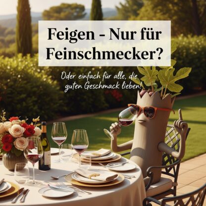 Feige feinschmecker 2