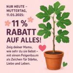 Nur heute – Muttertag, 11.05.2025: 🌸 11 % Rabatt auf alles! 🌸