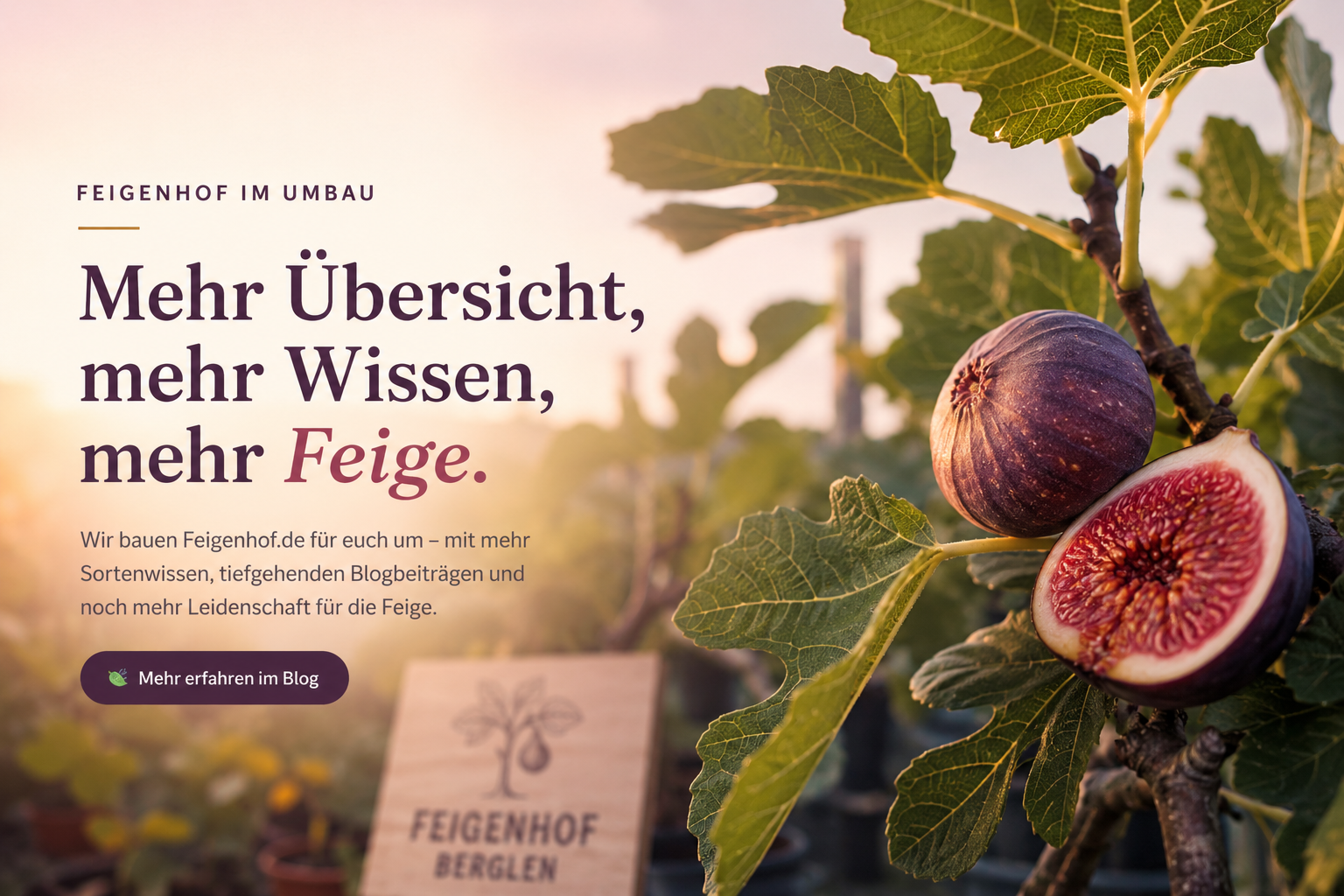 umbau